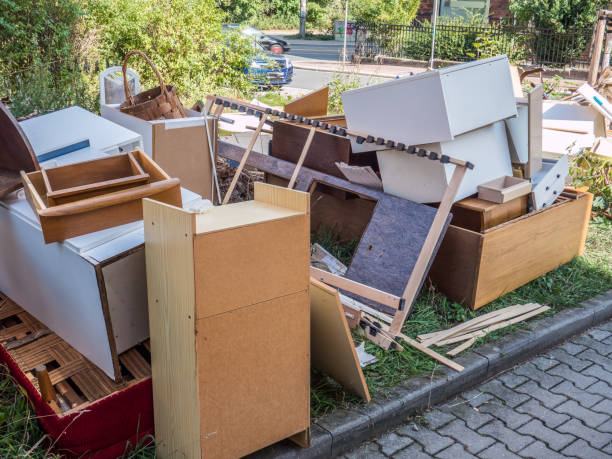 Best Junk Removal Near Me  in Roodhouse, IL