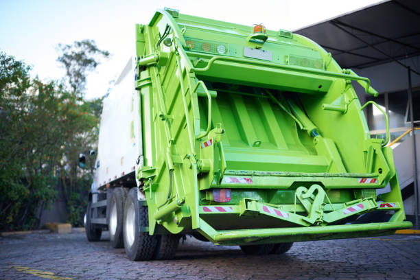 Best Junk Hauling Services  in Roodhouse, IL